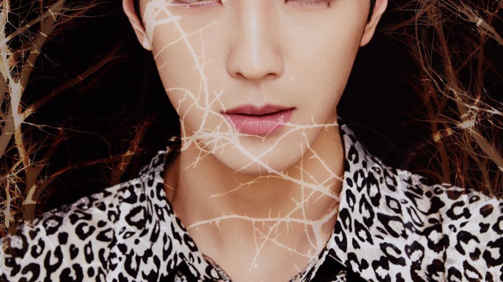 Vanillare Members Profile (Updated!) - Kpop Profiles