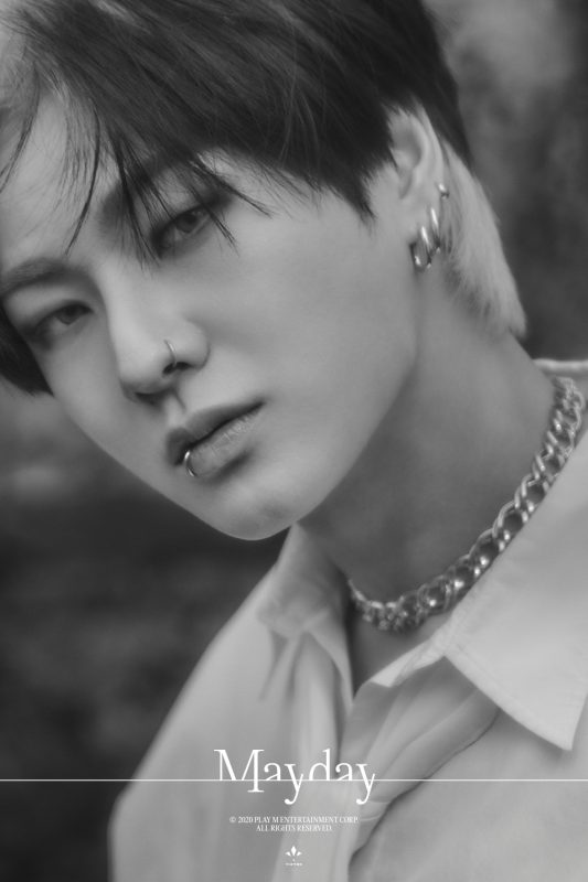 Hanse (VICTON) Profile, Facts, and Ideal Type (Updated!)