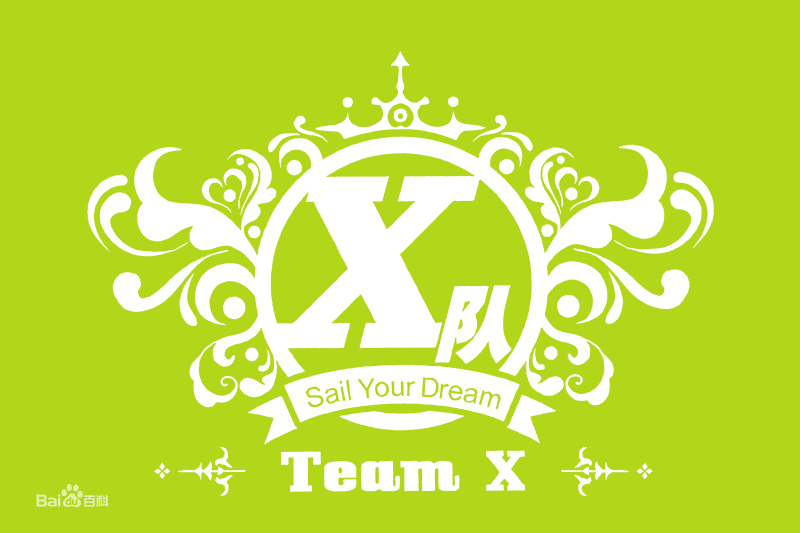 Snh48 Team X Members Profile Updated