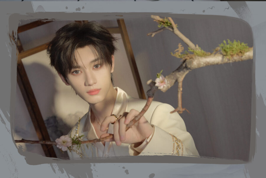 Ding Chengxin from TNT