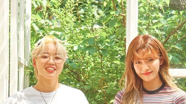 Boss Rabbit Project Profile & Facts (Updated!) - Kpop Profiles