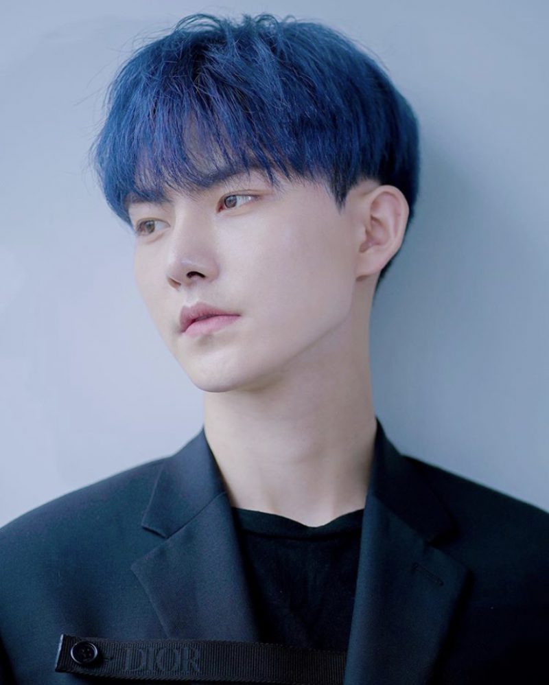 Hyunjun Hur / Hwall (former The Boyz) Profile and Facts (Updated!)