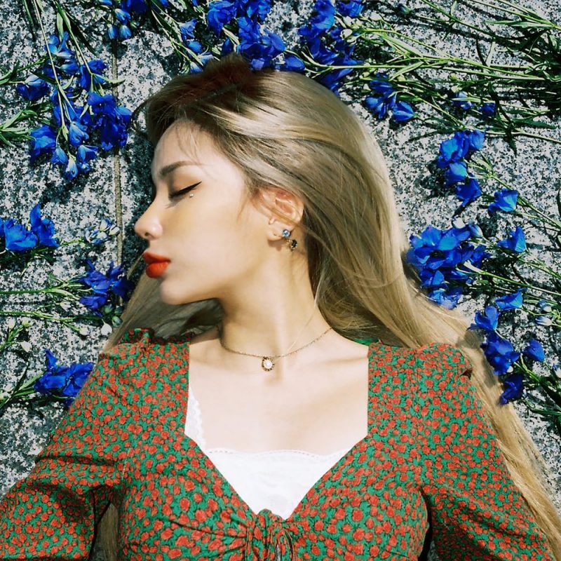 Seora Profile &amp; Facts (Updated!)