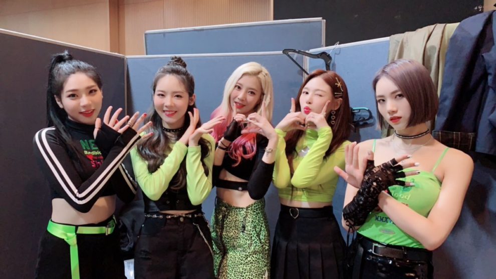 Dany (exAPI) Profile &amp; Facts (Updated!)