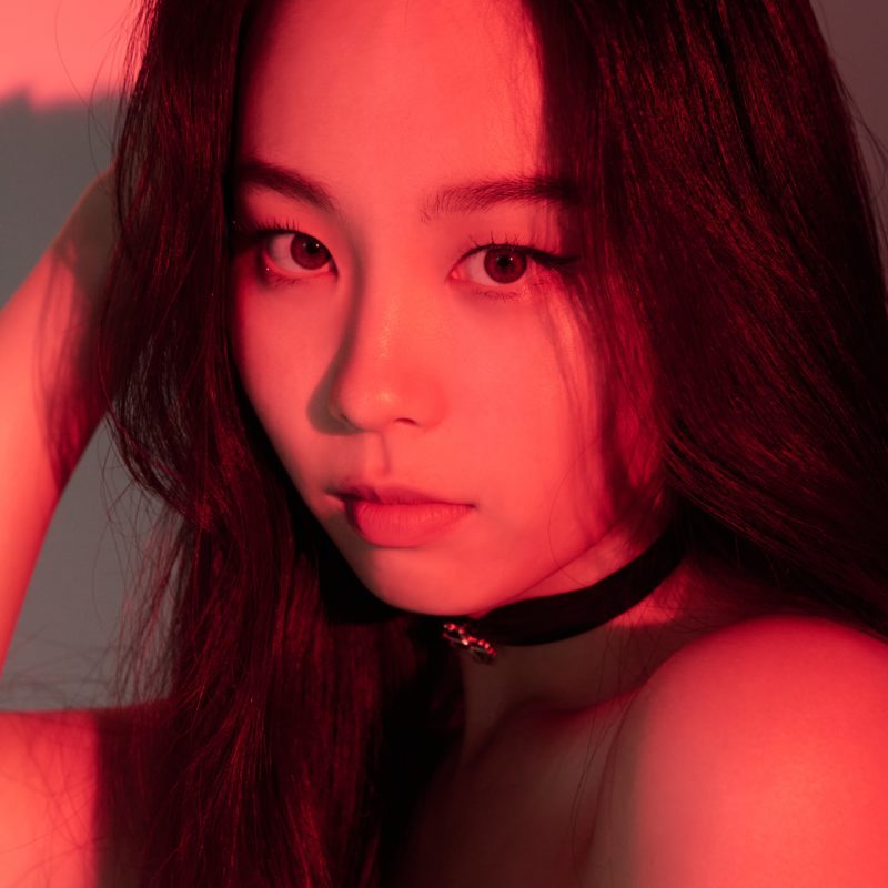 YOUHA Profile &amp; Facts (Updated!)