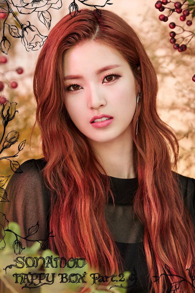 D.ana (SONAMOO) Profile, Facts and Ideal Type (Updated!)