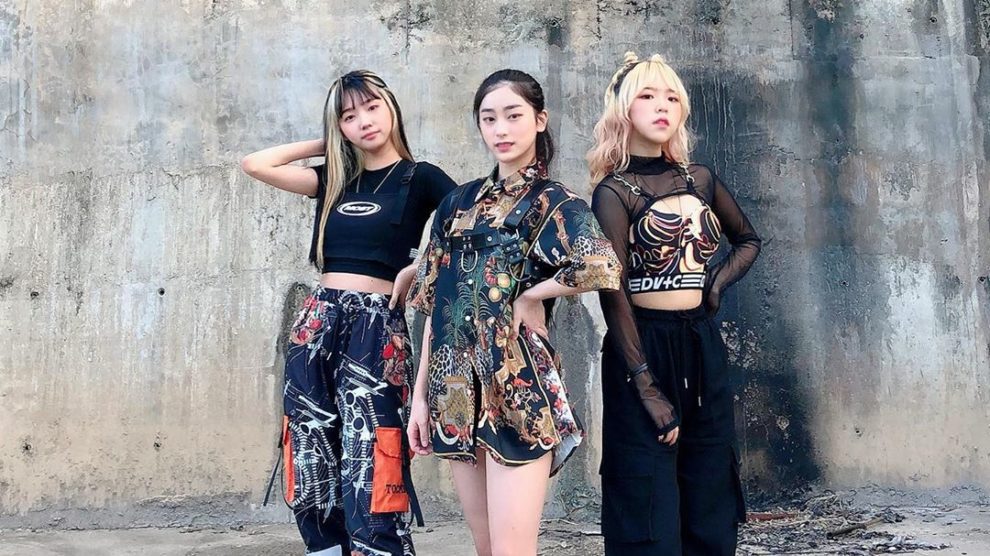 Root sixteen members profile