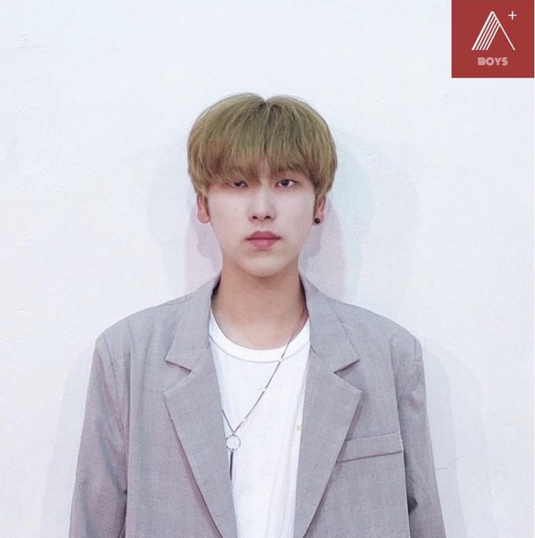 Big Dipper Profile and Facts (Updated!)