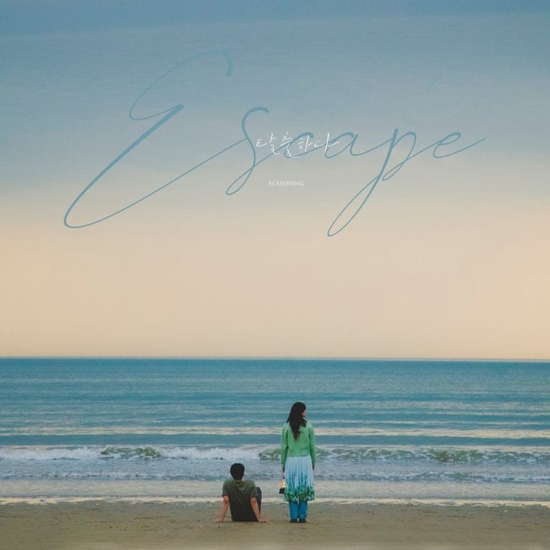 seasoning Members Profile (Updated!) Kpop Profiles