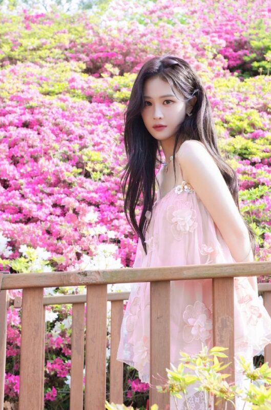 ぴょんちゃん ぴょんちゃん エスエス製薬 フィギュア29体 Yahoo!オークション