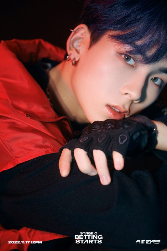 AIMERS Members Profile (Updated!)