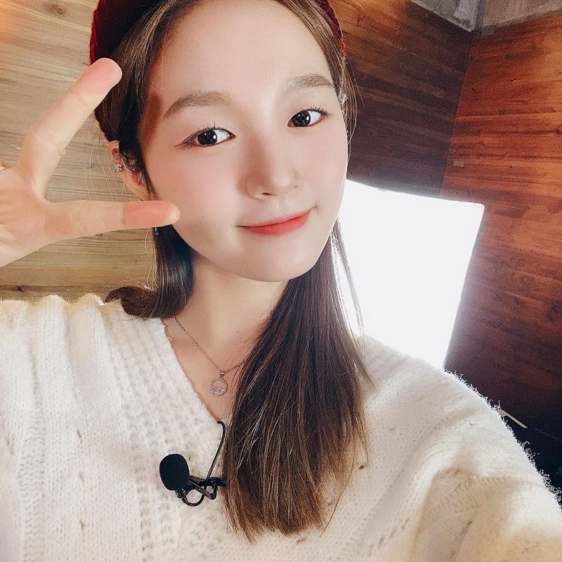 Kim Hyerim Profile And Facts Updated