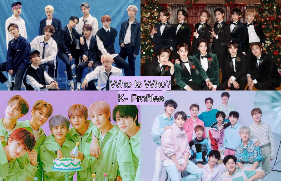 Who is Who? (Kpop Boy Groups) - Kpop Profiles