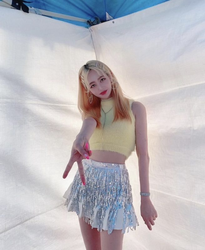 HoneyBees Profile and Facts (Updated!)