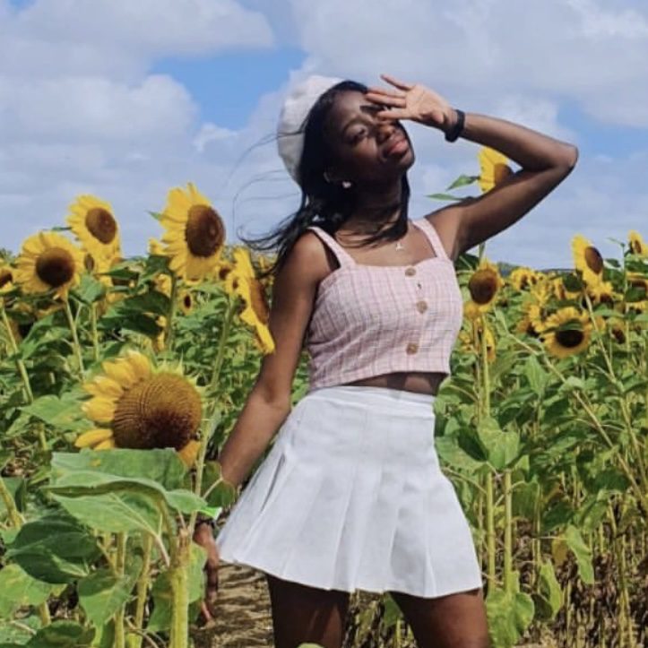 HoneyBees Profile and Facts (Updated!)