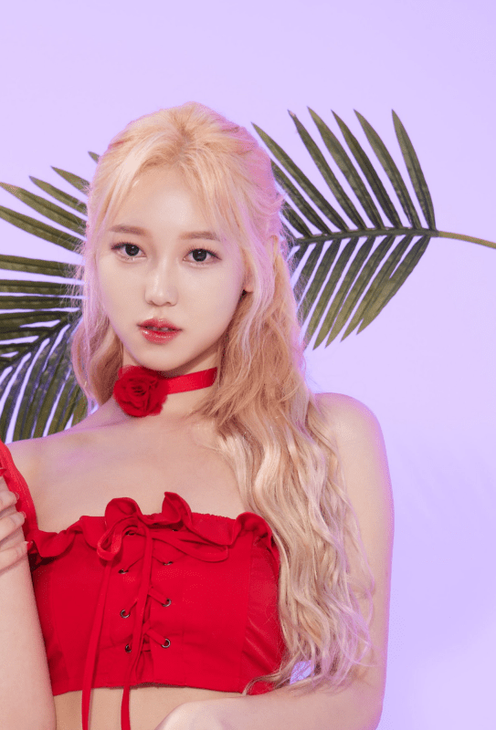 1CHU Members Profile (Updated!)