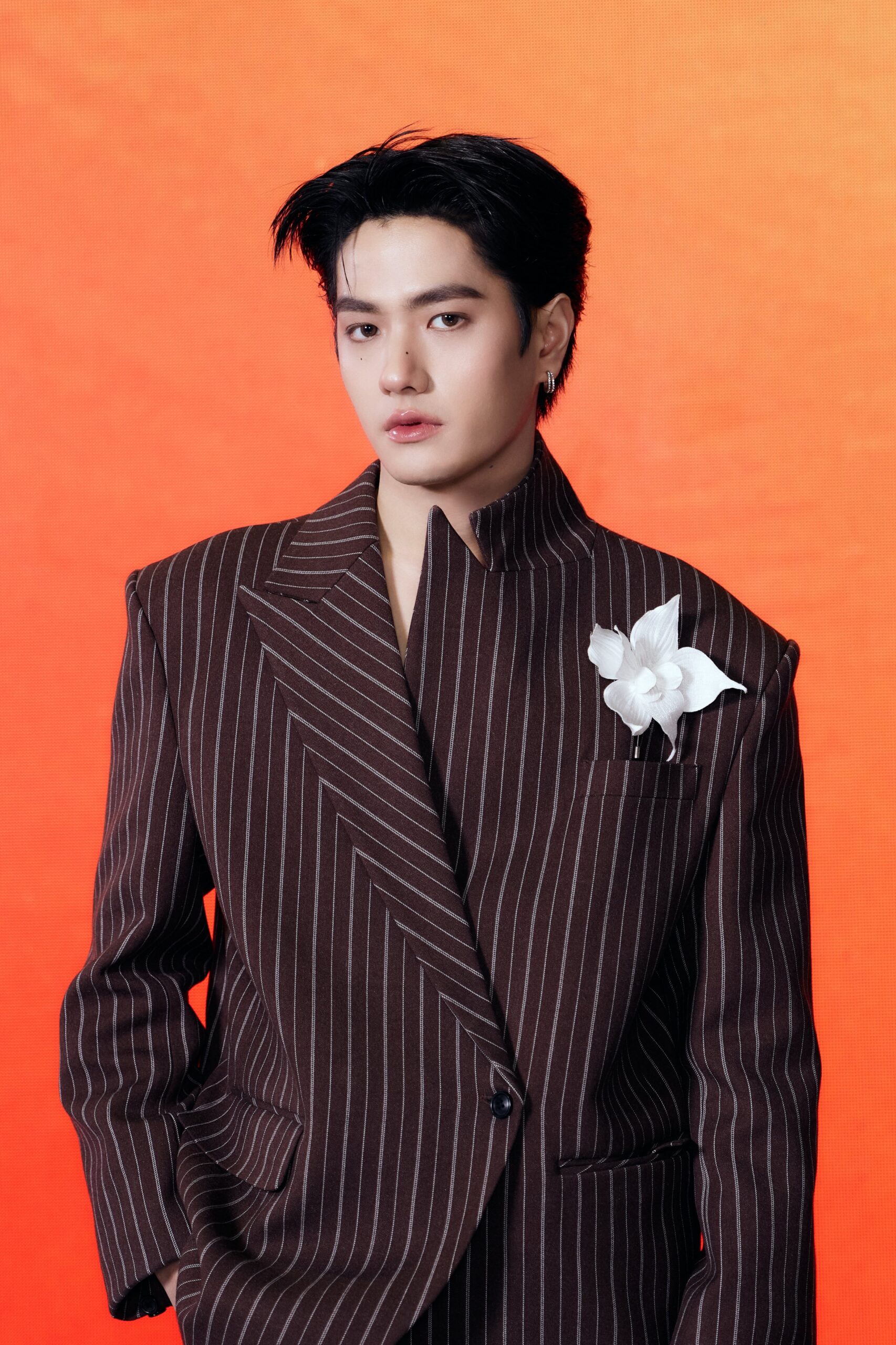 Domundi TV Profile: History, Artists and Facts (Updated!) - Kpop