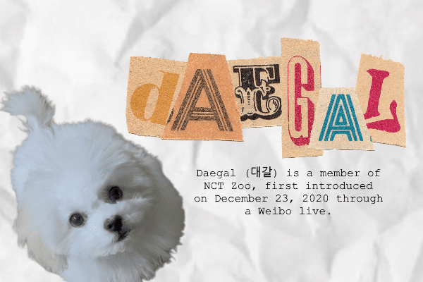 Daegal (NCT) Profile & Facts (Updated!) - Kpop Profiles