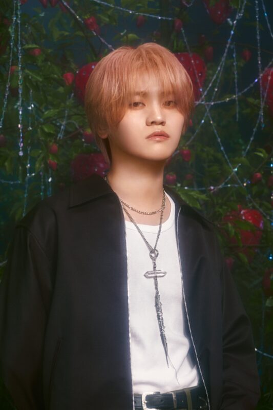 KAIRYU MAZZEL So Strawberry Concept Photo