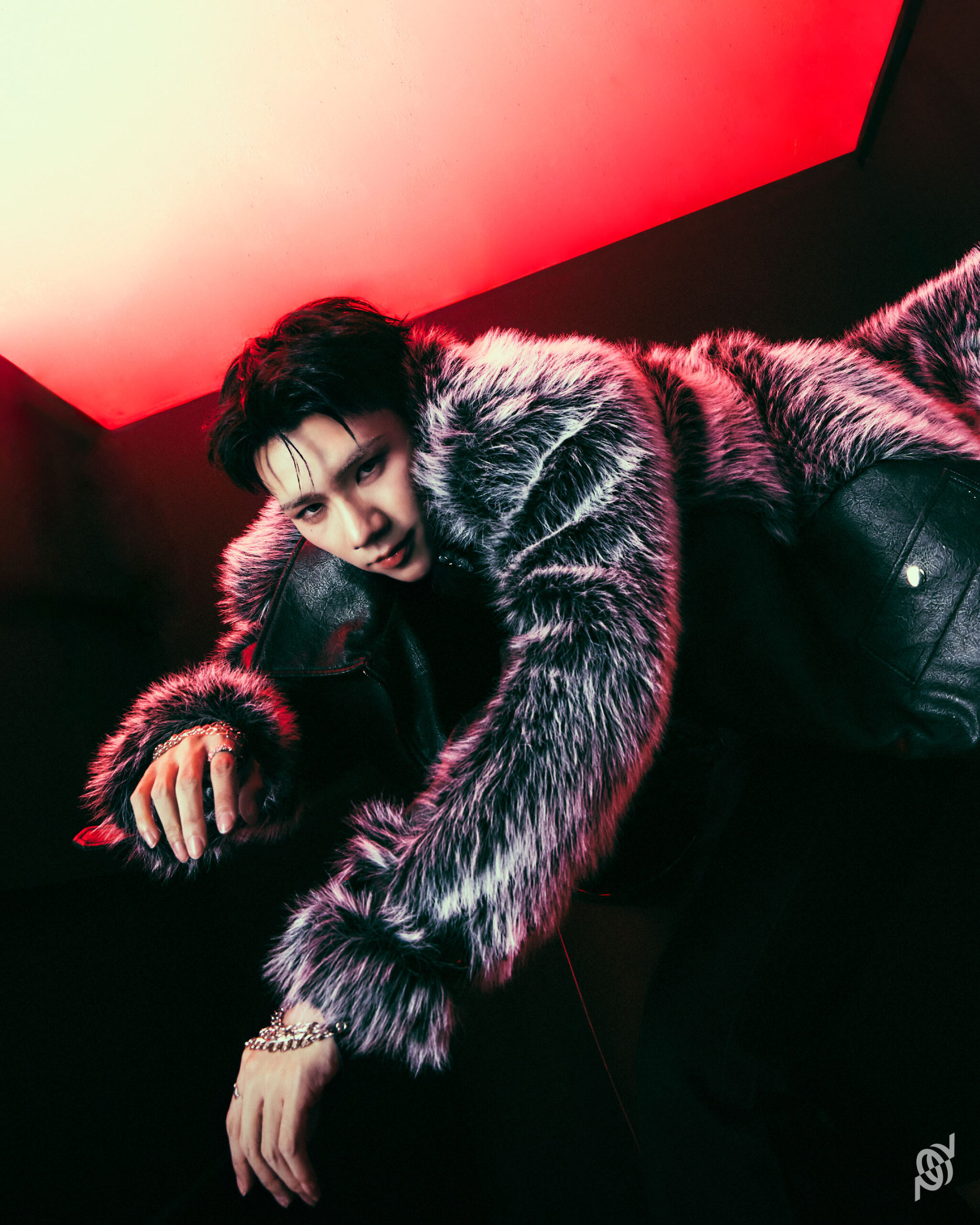 Pluggy - PERSES - KITTY SWAG