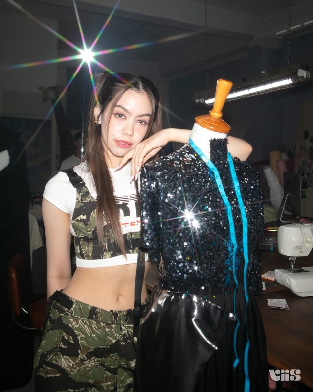 VIIS Members Profile and Facts (Updated!)