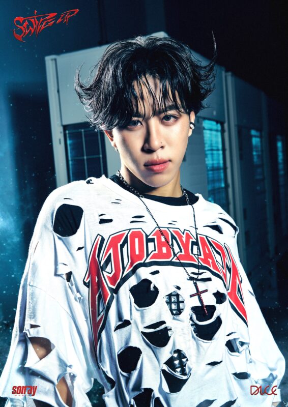 APO DICE SWICE UP Photo