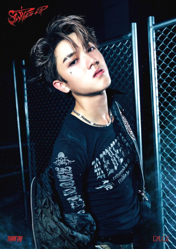 CHEESE DICE SWICE UP Photo