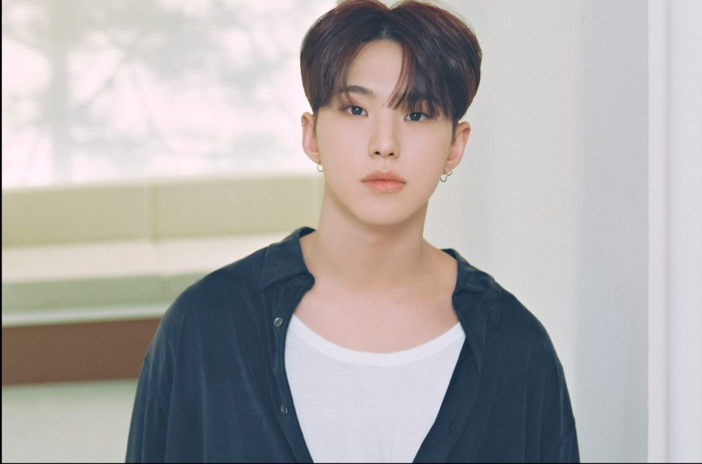 Hoshi (seventeen) Discography (updated!) - Kpop Profiles