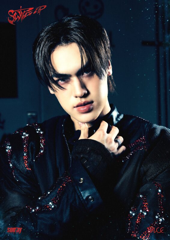 OBO DICE SWICE UP Photo