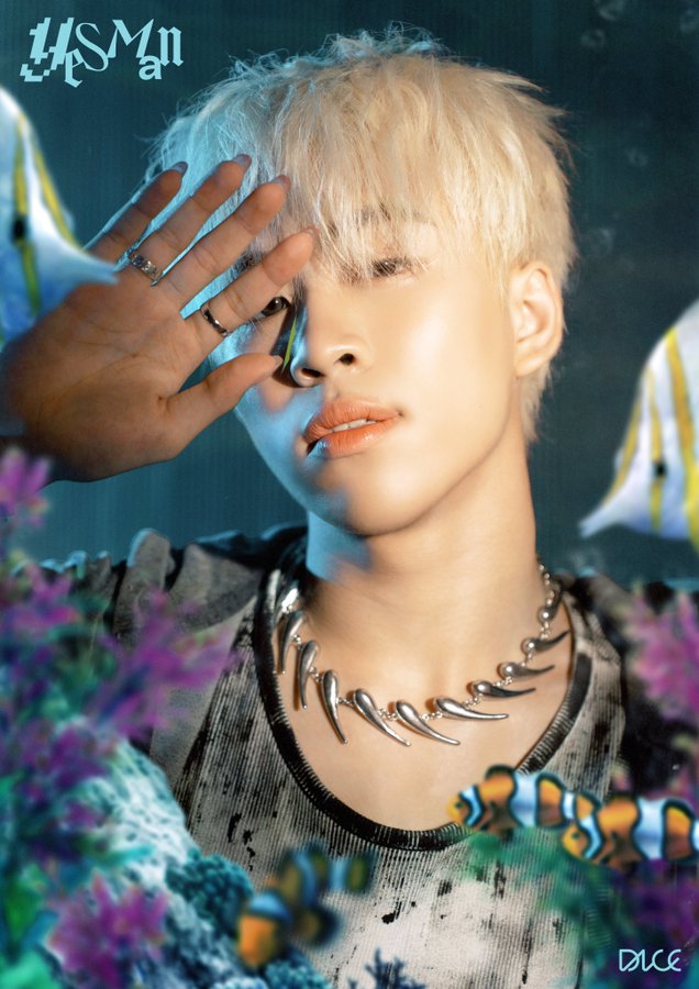 DICE Members Profile (Updated!) - Kpop Profiles