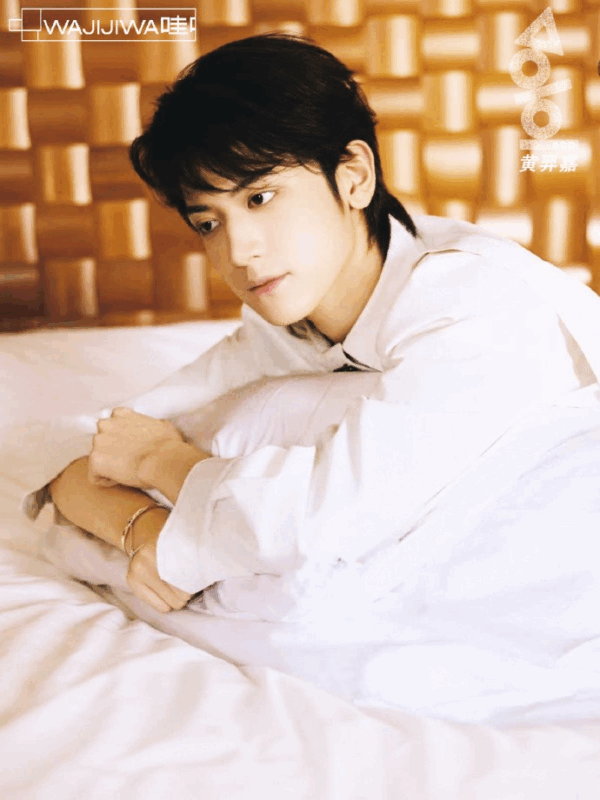 Huang Yijia ADD member