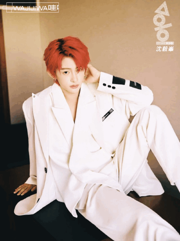 Shen Yifeng ADD member