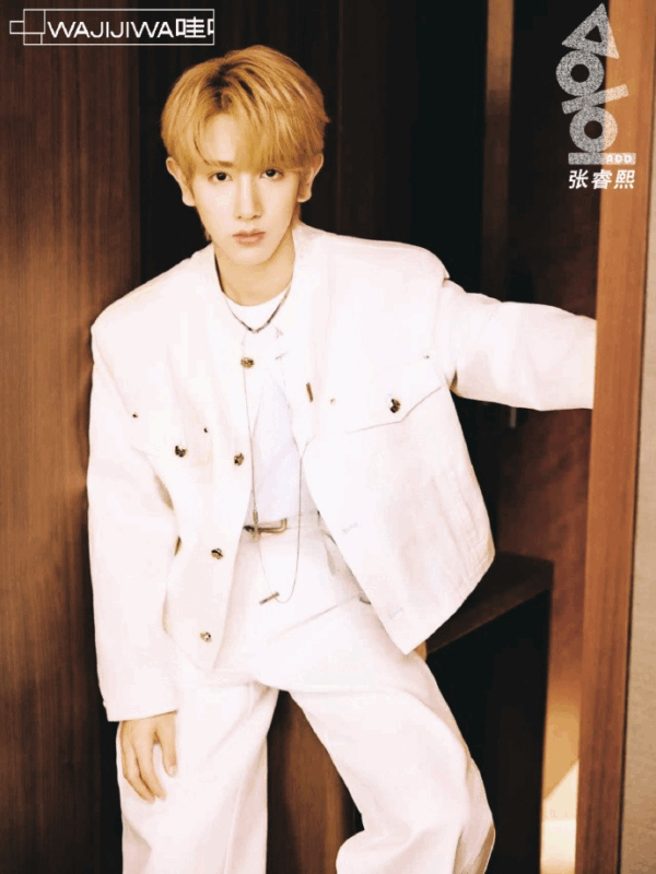 Zhang Ruixi ADD member