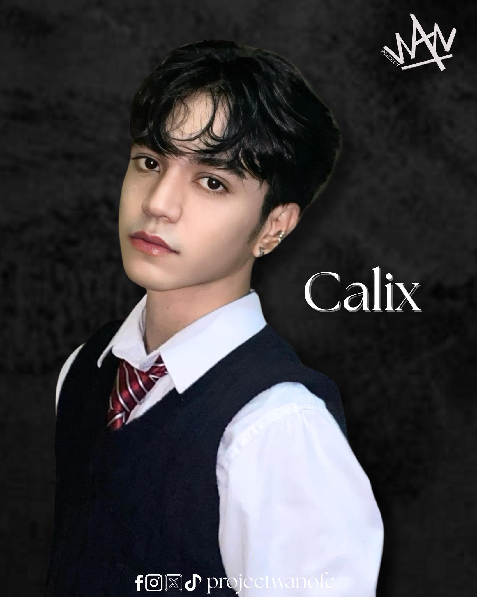 Project WAN Calix