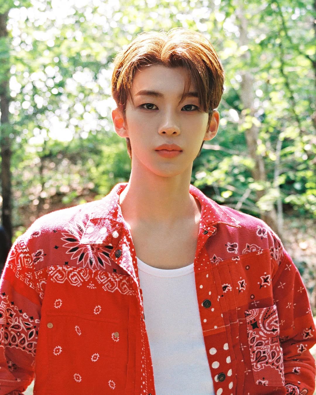 idntt id1 キムドフン　dohun 210 211 213A Kim Dohun (idntt) | Kpop Wiki | Fandom