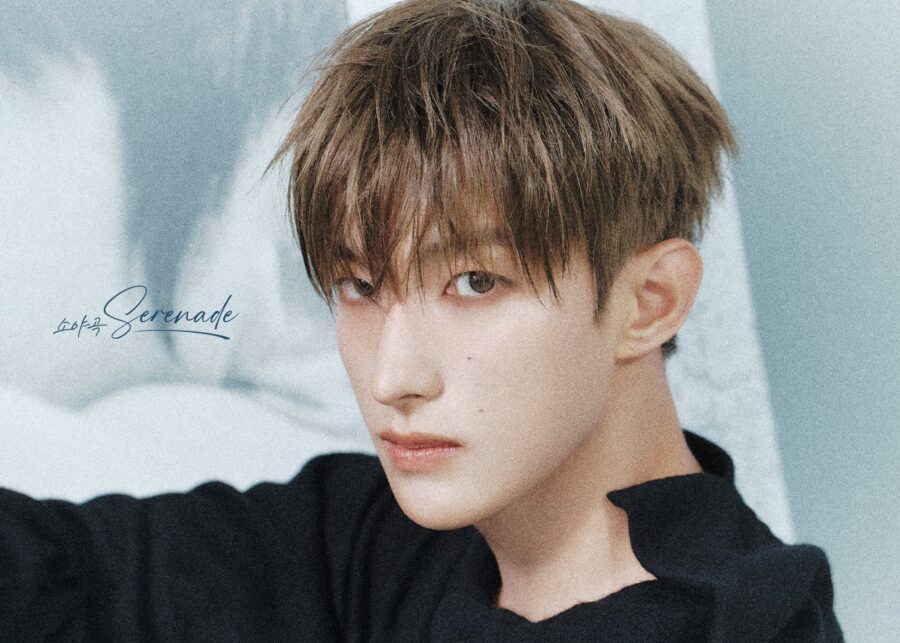 DK SEVENTEEN Serenade