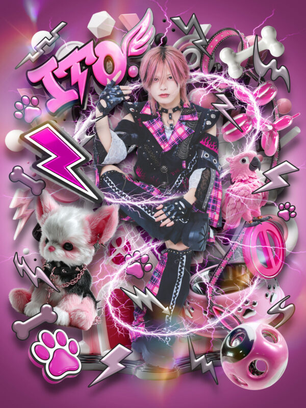 UNDER DOG Members Profile插图3 UNDER DOG Members Profile插图3