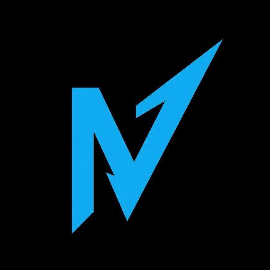 NEWBIS Official Logo
